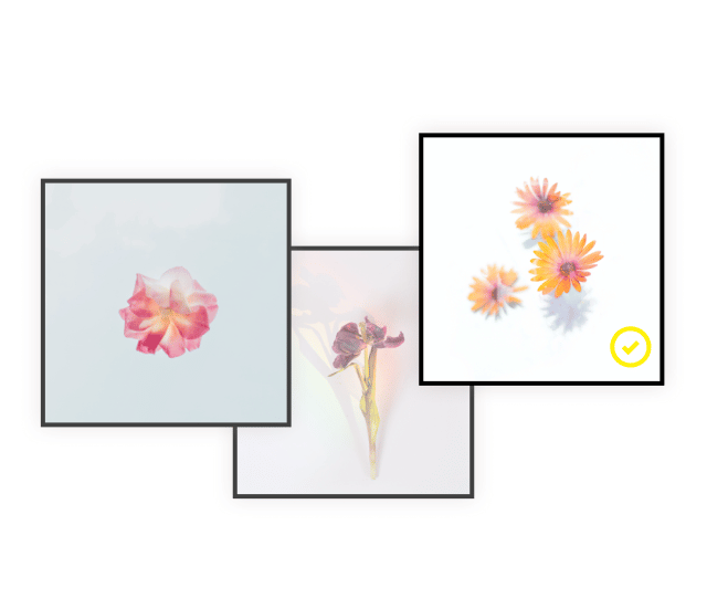 How_to_start_a_Still_Life_photography_business